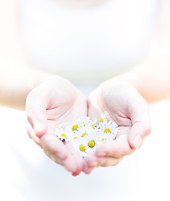 포토 JPG 해외이미지 식물 공원 꽃잎 꽃 백그라운드 잎 꽃무늬 패턴 밭 자연 건강 파노라마 사람없음 야외 초록색 약 새싹 환경 정원 침묵 봄 벚꽃 흰색 시골 신선 정상 허브 순수 에코 데이지 향기 꽃가루 내추럴 모종 블러 캐모마일 해외202004 해외포토 계절 공공시설 컬러 컨셉 무늬 농업 의학 촬영기법 소리 가루 생태계 냄새 파일형식 이미지허브