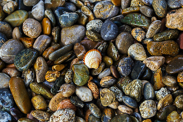 포토 JPG 해외이미지 모양 바다 백그라운드 컨셉 패턴 자연 벽지 조류 추상 휴식 건강 해변 사람없음 야외 장식 빛 컬러풀 화목 회색 젖음 껍질 조약돌 원형 거친 매끈함 땅 배열 묘사 질감 모자이크 내추럴 지질학 해외202004 해외포토 도형 동물 교육 컬러 무늬 돌_바위 감각 생태계 파일형식 이미지허브