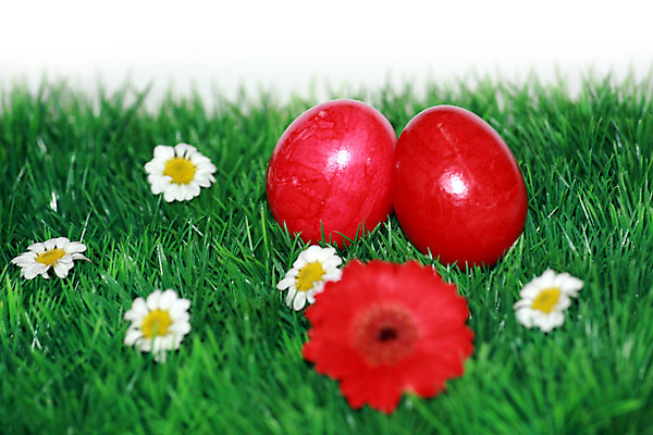 포토 JPG 해외이미지 전통 디자인 계절 꽃 행복 음식 백그라운드 꽃무늬 패턴 자연 휴가 부활절 창조 선물 사람없음 장식 빨간색 초록색 컬러풀 계란 페인트 놀람 봄 흰색 축하 토끼 둥지 4월 수집 심볼 고립 해외202004 해외포토 식물 기념일 감정 컬러 컨셉 무늬 포유류 표정 반려동물 알 날짜 생태계 파일형식 이미지허브