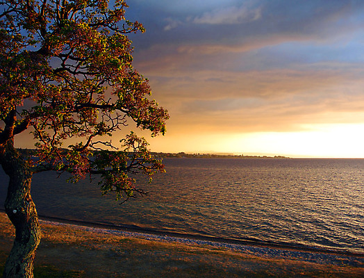포토 JPG 해외이미지 나무 호수 물결 모래 자연 하늘 새로움 풍경 사람없음 물 평화 일몰 화산 해외202004 해외포토 자연요소 식물 컨셉 산 노을 생태계 파일형식 이미지허브