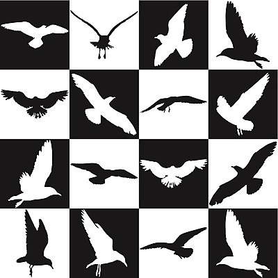 EPS 해외이미지 백그라운드 패턴 일러스트 조류 검은색 흰색 고립 해외202004 해외일러스트 동물 컬러 무늬 파일형식 벡터 이미지허브