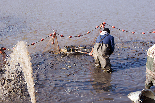 포토 JPG 해외이미지 호수 음식 낚시 건조 매달리기 어류 앉기 사람없음 야외 가로 물 강 장비 신선 잡기 그물 운반 낚시꾼 코르크 민물 옛날 해외202004 해외포토 자연요소 모션 레저 수중동물 파일형식 이미지허브