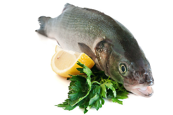 포토 JPG 해외이미지 파슬리 마늘 사람없음 레몬 흰배경 날것 도미 해외202004 해외포토 백그라운드 채소 과일 어류 흰색 파일형식 이미지허브