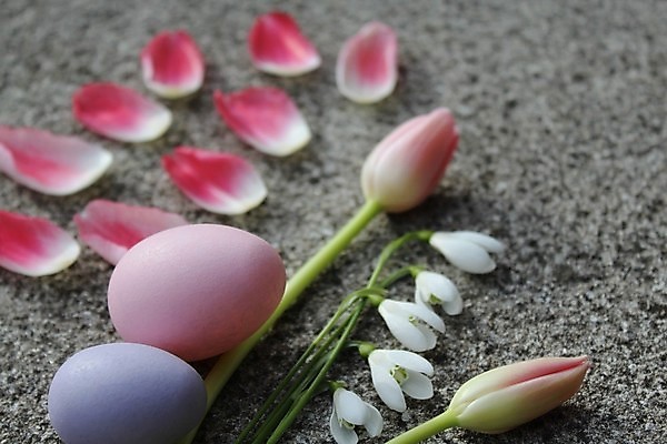 포토 JPG 해외이미지 꽃 봄꽃 부활절 사람없음 장식 봄 튤립 부활절계란 스노드롭 헌병 해외202004 해외포토 식물 계절 기념일 계란 군인 파일형식 이미지허브