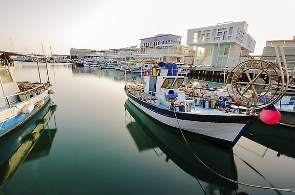 포토 JPG 해외이미지 유럽 바다 섬 여행 건축양식 교통시설 자연 낚시 휴가 항해 어류 사람없음 건물 목재 물 여름 파란색 항구 장비 도시 만 그물 어선 보트 센터 역사 도심 중앙 작음 주차 지중해 그리스 함선 낚시꾼 선원 모터보트 포트 부표 남쪽 그리스인 옛날 이국적 해외202004 해외포토 사이프러스공화국 자연요소 서양인 나무 건축물 계절 건축 나라 컬러 교통 배_교통 재료 레저 수중동물 크기 방향 시설 생태계 파일형식 이미지허브