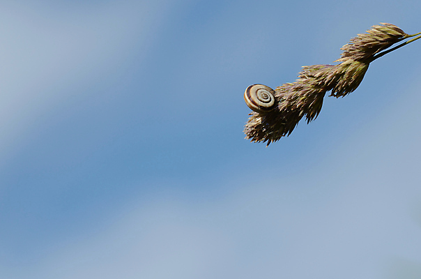 포토 JPG 해외이미지 사람없음 꼬리표 지옥 해외202004 해외포토 라벨 파일형식 이미지허브