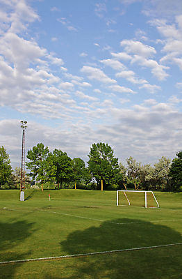 포토 JPG 해외이미지 나무 선 스포츠 밭 그림자 사람없음 세로 여름 운동 축구 경쟁 경기장 봄 게임 경계선 그물 골 수평선 해외202004 해외포토 식물 계절 컨셉 농업 스포츠시설 놀이 건강 구기 경계 파일형식 이미지허브