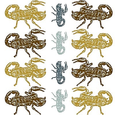 EPS 해외이미지 동물 실루엣 곤충 백그라운드 패턴 일러스트 자연 그래픽 파란색 노란색 독약 위험 스케치 전갈 문신 심볼 사인 그림 꼬리 점성술 전갈자리 찌르기 고립 해외202004 해외일러스트 컬러 컨셉 무늬 절지류 모션 촬영기법 미술 별자리 생태계 파일형식 벡터 이미지허브