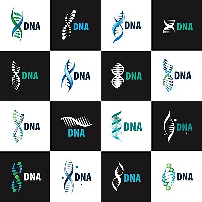 EPS 해외이미지 템플릿 디자인 과학 백그라운드 컨셉 일러스트 회사 추상 아이디어 세포 나선형 건강 사람 그래픽 약 흰색 실험실 암호 DNA 생명공학 심볼 사인 생물학 신분 염색체 고립 돌봄 복제 엘리먼트 유전 해외202004 해외일러스트 교육 컬러 무늬 비즈니스 의학 모션 실험 파일형식 벡터 이미지허브
