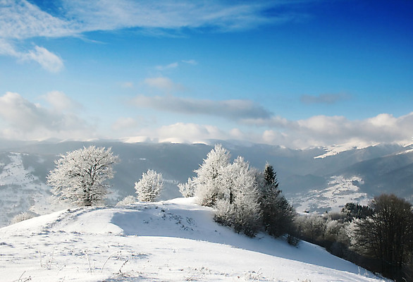 포토 JPG 해외이미지 나무 구름 계절 백그라운드 크리스마스 겨울 자연 하늘 날씨 휴가 산 풍경 사람없음 야외 가로 태양 추위 흰색 오브젝트 서리 장면 1월 우크라이나 해외202004 해외포토 자연요소 식물 기념일 유럽 컬러 날짜 생태계 파일형식 이미지허브