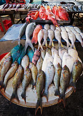 포토 JPG 해외이미지 전통 산업 문화 음식 바다 여행 백그라운드 다이어트 아프리카 자연 낚시 건강 어류 요리 사람없음 빨간색 초록색 물 파란색 컬러풀 세일 젖음 흰색 신선 잡기 그룹 시장 맛 해산물 날것 지역 모리셔스 해외202004 해외포토 자연요소 나라 컬러 컨셉 모션 레저 수중동물 생태계 파일형식 이미지허브