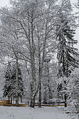 포토 JPG 해외이미지 나무 계절 공원 유럽 길 낙엽 겨울 자연 동화 날씨 풍경 사람없음 야외 빛 갈색 환경 냉동 얼음 하이킹 추위 흰색 나뭇가지 소나무 눈송이 숲 그림 서리 장면 침엽수 솜털 내추럴 불가리아 웅장함 눈내림 해외202004 해외포토 자연요소 식물 공공시설 나라 컬러 잎 레저 눈_날씨 생태계 파일형식 남유럽 이미지허브