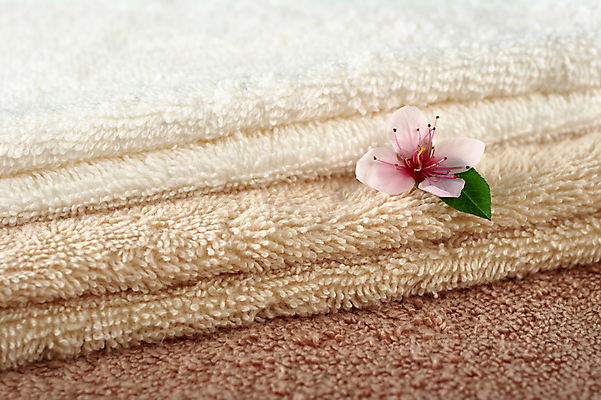 포토 JPG 해외이미지 식물 꽃잎 꽃 분홍색 잎 건조 사람없음 가로 수건 갈색 사진촬영 목욕 봄 벚꽃 흰색 기구 오브젝트 복숭아 꽃수술 샤워실 위생관리 해외202004 해외포토 계절 컬러 과일 관리 위생용품 촬영 청결 샤워시설 파일형식 이미지허브