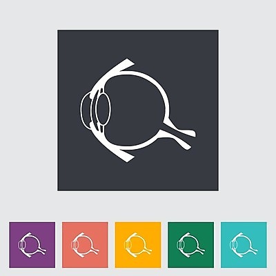 EPS 해외이미지 과학 신체 일러스트 부분 해부 건강 사람 약 오르간 플랫 눈동자 생물학 시력 비전 붓꽃 안과 해외202004 해외일러스트 교육 꽃 의학 병원 눈_신체부위 건반악기 파일형식 벡터 이미지허브