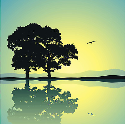 EPS 해외이미지 나무 한마리 실루엣 호수 일러스트 조류 풍경 사람없음 초록색 물 반사 노을 수평선 해외202004 해외일러스트 자연요소 식물 동물 1 컬러 촬영기법 파일형식 벡터 이미지허브