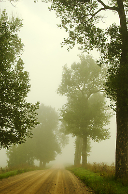 포토 JPG 해외이미지 나무 공원 도로 길 여행 백그라운드 밭 교통시설 자연 하늘 아침 휴가 풍경 사람없음 야외 옆모습 초록색 여름 빛 세계 환경 봄 안개 시골 숲 큼 속도 먼지 장면 내추럴 넘어짐 방법 뿌연 옛날 수평선 해외202004 해외포토 주간 식물 계절 공공시설 뷰포인트 컬러 교통 농업 모션 날씨 크기 시설 생태계 파일형식 이미지허브