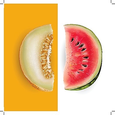 EPS 해외이미지 클립아트 음식 조각 잎 오렌지 과일 일러스트 재료 포장 자연 디저트 수박 요리 그래픽 장식 컬러풀 라벨 주방 식당 수확 신선 맛 멜론 먹기 에코 유기농 날것 배지 내추럴 고립 숙성 채식주의자 현실 해외202004 해외일러스트 식물 웰빙 컬러 컨셉 농업 모션 프레임 환경 상점 생태계 채식 파일형식 벡터 이미지허브