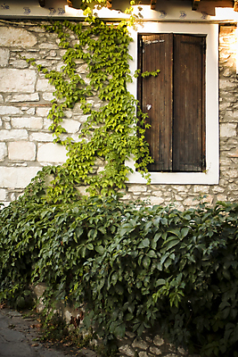 포토 JPG 해외이미지 전통 외관 벽 백그라운드 잎 창문 유리 주택 프레임 사람없음 야외 건물 목재 초록색 갈색 수확 바위 시골 거친 묘사 싱글 질감 복고 옛날 스타일 해외202004 해외포토 나무 식물 건축물 컬러 농업 재료 재질 돌_바위 파일형식 이미지허브