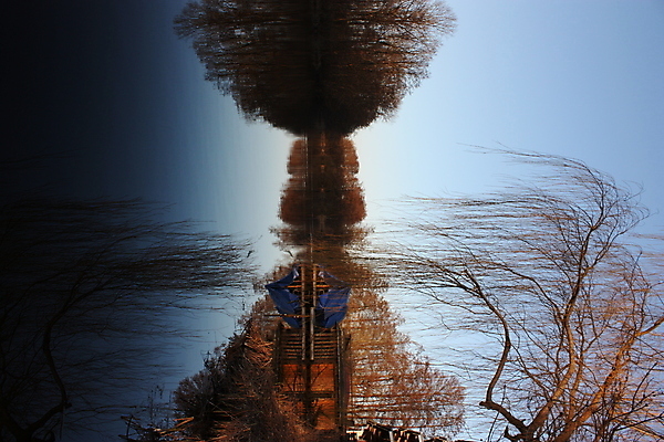 포토 JPG 해외이미지 나무 자연 아침 풍경 사람없음 야외 목재 물 강 반사 일출 침묵 가을 황무지 속도 각도 수로 멀리 삼림지대 그리너리 해외202004 해외포토 주간 자연요소 식물 계절 재료 노을 소리 숲 생태계 파일형식 트랜드컬러 이미지허브