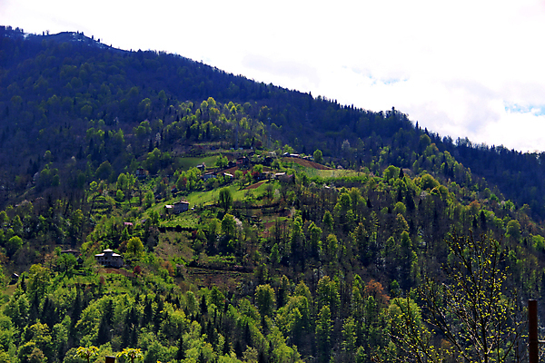 포토 JPG 해외이미지 여행 백그라운드 십자가 자연 하늘 휴가 산 파노라마 풍경 사람없음 야외 초록색 여름 햇빛 태양 마을 계곡 일몰 봄 숲 언덕 내추럴 절정 조지아 해외202004 해외포토 자연요소 계절 컬러 촬영기법 노을 생태계 동유럽 파일형식 이미지허브