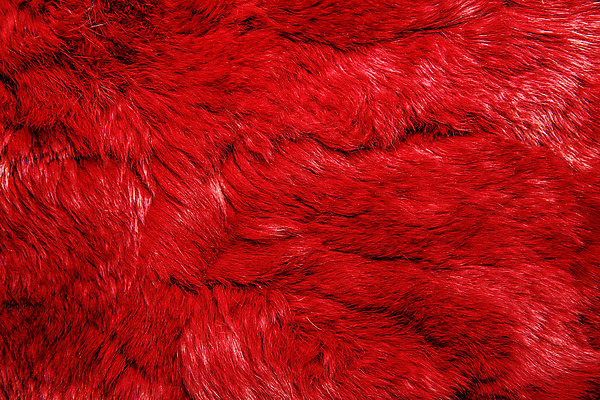 포토 JPG 해외이미지 동물 디자인 옷 백그라운드 패턴 오렌지 자연 벽지 추상 털 사람없음 장식 빨간색 고양이 줄무늬 카펫 코트 토끼 점 우아함 선탠 매끈함 모피 피부 크림 질감 부드러움 얼룩무늬 솜털 내추럴 프랑스어 해외202004 해외포토 문자 컬러 컨셉 무늬 과일 포유류 신체부위 반려동물 외투 감각 생태계 파일형식 이미지허브