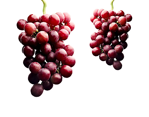 포토 JPG 해외이미지 식물 계절 음식 백그라운드 농업 다이어트 과일 자연 포도 디저트 새로움 건강 사람없음 빨간색 초록색 여름 농작물 컬러풀 와인 정원 보라색 주스 수확 가을 흰색 신선 달콤 맛 다발 먹기 유기농 날것 포도밭 포도나무 내추럴 고립 숙성 양조장 채식주의자 해외202004 해외포토 웰빙 산업 음료 컬러 컨셉 밭 모션 주류 과일나무 생태계 채식 파일형식 이미지허브