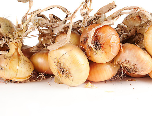 포토 JPG 해외이미지 음식 백그라운드 농업 채소 재료 양파 건강 사람없음 노란색 신선 그룹 향신료 오브젝트 유기농 뿌리 내추럴 고립 숙성 채식주의자 해외202004 해외포토 웰빙 산업 컬러 채식 향미료 파일형식 이미지허브