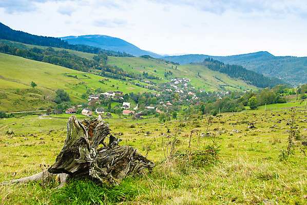 포토 JPG 해외이미지 나무 식물 산업 자연 풍경 사람없음 야외 목재 초록색 글로벌 환경 블록 손상 죽음 소나무 떨어짐 보호 상품 숲 자르기 언덕 통나무 자원 내추럴 생태학 수목 해외202004 해외포토 교육 컬러 컨셉 재료 모션 생태계 파일형식 이미지허브