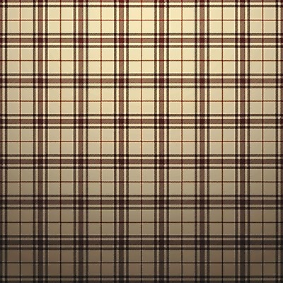 EPS 해외이미지 전통 디자인 종이 벽 백그라운드 컨셉 크리스마스 패턴 일러스트 부분 벽지 주택 프레임 그림자 선물 장식 책 빛 유행 램프 직물 신용카드 화려 중세 클래식 고급 저녁 두루마리 질감 복고 정사각형 페이지 패키지 비네팅 구식 대칭 빅토리아 스크랩북 옛날 회복 벨벳 해외202004 해외일러스트 도형 기념일 무늬 조명 촬영기법 건물 금융 역사 야간 실크 파일형식 벡터 이미지허브