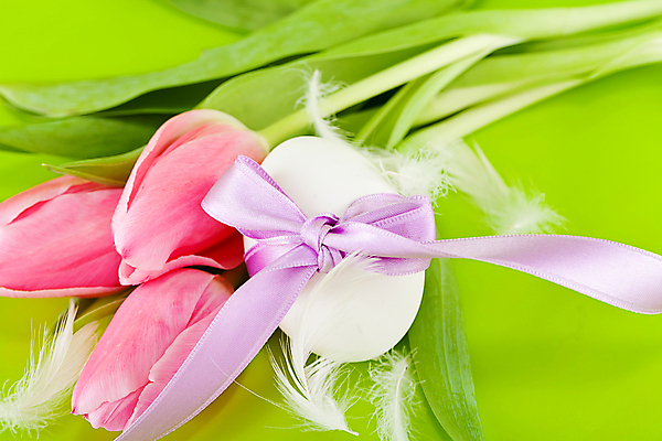 포토 JPG 해외이미지 식물 전통 디자인 계절 꽃 리본 꽃다발 백그라운드 잎 꽃무늬 자연 휴가 부활절 선물 사람없음 장식 초록색 빛 컬러풀 계란 보라색 축제 봄 튤립 벚꽃 껍질 흰색 축하 직물 신선 신용카드 고리 심볼 깃털 오브젝트 활 매듭 내추럴 해외202004 해외포토 기념일 컬러 컨셉 무늬 금융 알 생태계 파일형식 이미지허브