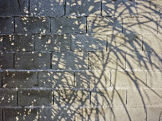 포토 JPG 해외이미지 나무 식물 벽 백그라운드 건축양식 추상 돌담 그림자 사람없음 힘 블록 회색 시골 거친 질감 썩음 콘크리트 해외202004 해외포토 건축 컬러 무늬 담장 돌_바위 파일형식 이미지허브