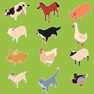EPS 해외이미지 동물 디자인 야생동물 백그라운드 컨셉 농업 일러스트 자연 염소 오리 동물원 초록색 세트 농장 3D 마을 고양이 웹 치킨 가축 우유 토끼 양 돼지 소 플랫 개 수집 거위 내추럴 고립 엘리먼트 해외202004 해외일러스트 산업 컬러 인터넷 포유류 조류 유제품 반려동물 디지털합성 생태계 닭고기요리 파일형식 벡터 이미지허브