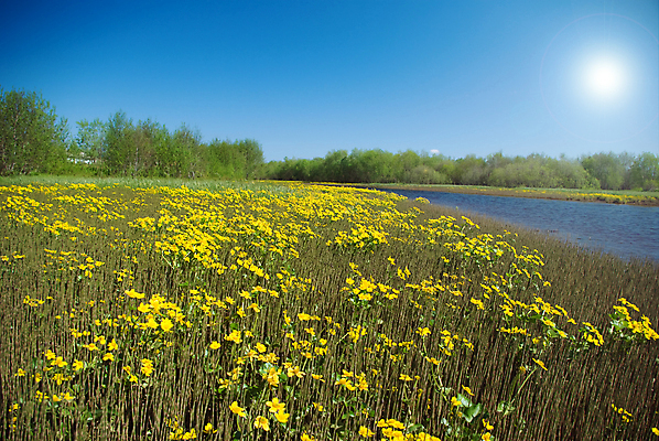 포토 JPG 해외이미지 식물 꽃잎 꽃 꽃다발 백그라운드 꽃무늬 오렌지 자연 벽지 사람없음 야외 초록색 컬러풀 노란색 정원 봄 개화 닫기 묘사 부드러움 내추럴 해외202004 해외포토 계절 컬러 무늬 과일 모션 감각 생태계 파일형식 이미지허브