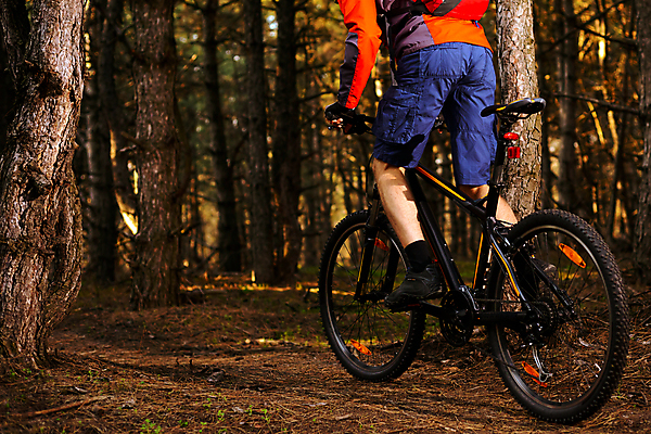 포토 JPG 해외이미지 라이프스타일 남자 배낭 산 한명 안전 풍경 성인 야외 자전거 승차 숲 헬멧 라이더 성인남자한명만 해외202004 해외포토 1 가방 모션 사람 생활 바이크 보호장비 남자한명만 성인남자만 파일형식 이미지허브