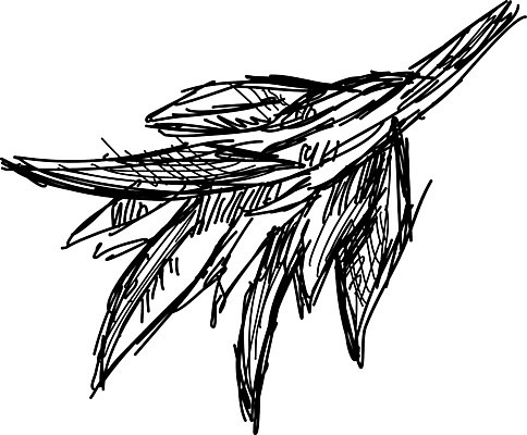 EPS 해외이미지 식물 라이프스타일 손 디자인 꽃 음식 백그라운드 꽃무늬 패턴 일러스트 잉크 요리 미술 세트 약 수확 흰색 신선 약초 수집 허브 향신료 향 아로마테라피 블랙베리 라벤더 로즈메리 내추럴 금잔화 고립 세이지 추출 캐모마일 해외202004 해외일러스트 컬러 무늬 농업 과일 의학 문화예술 생활 신체부위 풀 테라피 향미료 파일형식 벡터 이미지허브