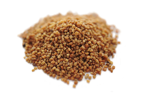 포토 JPG 해외이미지 오렌지 건조 씨앗 사람없음 닫기 작음 허브 해외202004 해외포토 식물 과일 모션 크기 파일형식 이미지허브