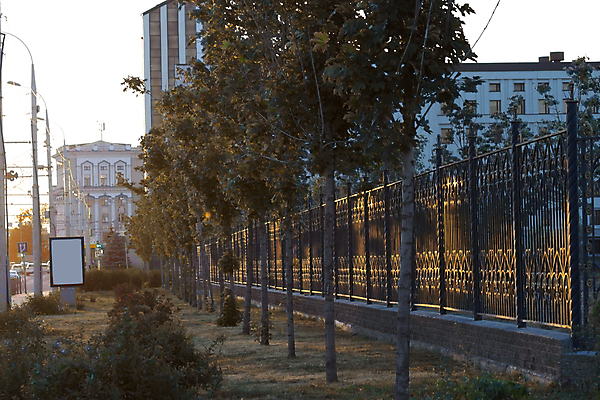 포토 JPG 해외이미지 나무 공원 꽃 잎 오렌지 건축양식 자연 미술 안전 사람없음 야외 건물 초록색 빛 울타리 햇빛 태양 일출 일몰 봄 도시 황금 타운 사생활 해외202004 해외포토 자연요소 식물 건축물 계절 공공시설 건축 컬러 과일 문화예술 담장 노을 생태계 파일형식 이미지허브