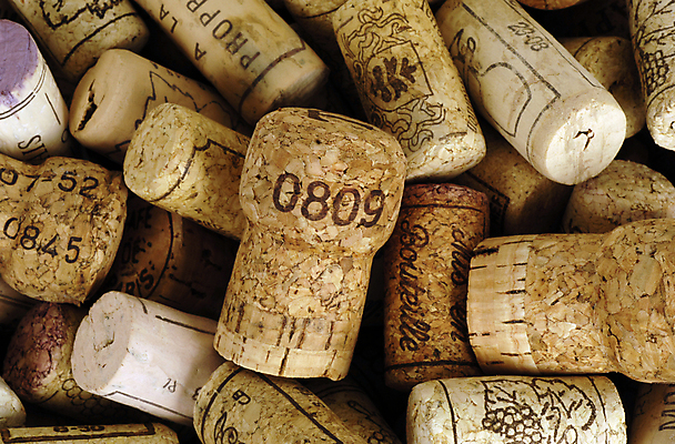 포토 JPG 해외이미지 음료 포도 사람없음 와인 프랑스 수확 오브젝트 코르크 모음 지하실 해외202004 해외포토 유럽 농업 과일 주류 파일형식 이미지허브