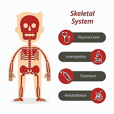 EPS 해외이미지 디자인 선 신체 일러스트 해부 뼈 골격 엑스레이 건강 주사기 사람 그래픽 약 인포그래픽 고통 광선 플랫 질병 X 만화 관절염 골다공증 시스템 외과 고립 골절 깨짐 돌봄 정형외과 해외202004 해외일러스트 알파벳 감정 컨셉 의학 의료기기 모션 병원 파일형식 벡터 이미지허브