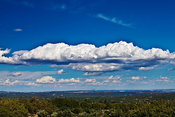 포토 JPG 해외이미지 나무 식물 구름 계절 유럽 여행 낙엽 자연 하늘 풍경 사람없음 초록색 여름 파란색 환경 흰색 스페인 땅 생태계 상록수 침엽수 마드리드 생태학 해외202004 해외포토 자연요소 교육 나라 컬러 잎 파일형식 이미지허브