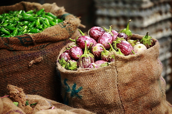 포토 JPG 해외이미지 음식 백그라운드 농업 다이어트 채소 과일 재료 자연 가지 양파 오이 콩 건강 사람없음 초록색 노란색 쌓기 바구니 평화 상점 검은색 수확 껍질 신선 시장 달콤 맛 인도인 먹기 유기농 양배추 망고 흙더미 내추럴 숙성 채식주의자 케랄라주 많음 해외202004 해외포토 외국인 웰빙 산업 컬러 컨셉 모션 곡류 동양인 흙 인도_나라 열대과일 생태계 채식 파일형식 더미 이미지허브