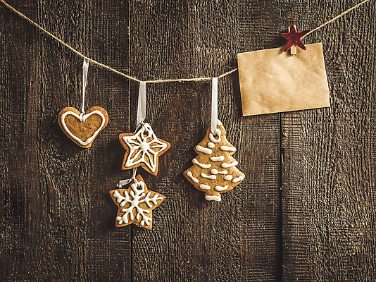 포토 JPG 해외이미지 나무 계절 별 리본 밧줄 줄 백그라운드 크리스마스 겨울 휴가 새로움 매달리기 사람없음 목재 장식 가로 빨간색 세로 장난감 갈색 쿠키 얼음 축제 수확 하트 소나무 신용카드 그룹 연도 심볼 오브젝트 복고 노끈 내추럴 소셜네트워크 옛날 가문비나무 효과 해외202004 해외포토 자연요소 모양 식물 기념일 컬러 컨셉 농업 재료 모션 디저트 금융 파일형식 이미지허브