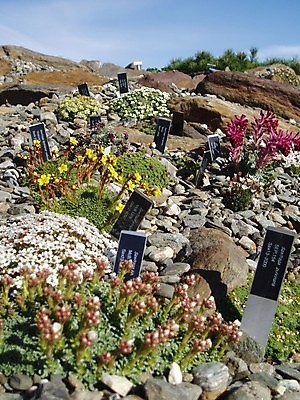 포토 JPG 해외이미지 식물 꽃 노르웨이 종류 사람없음 정원 침대 잡종 동물상 해외202004 해외포토 유럽 가구 조형물 파일형식 이미지허브