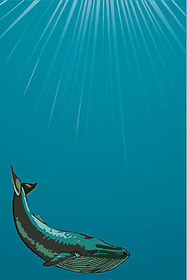 EPS 해외이미지 한마리 바다 일러스트 사람없음 파란색 바닷속 고래 해외202004 해외일러스트 1 컬러 포유류 수중 수중동물 파일형식 벡터 이미지허브