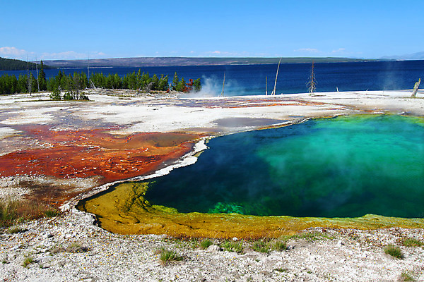 포토 JPG 해외이미지 공원 호수 물결 여행 자연 표면 풍경 사람없음 야외 물 파란색 빛 반짝임 환경 미국 봄 엄지손가락 소나무 뜨거움 황무지 더위 수증기 땅 장면 대야 내추럴 강렬 생태학 서쪽 와이오밍 전국 해외202004 해외포토 자연요소 나무 계절 공공시설 교육 컬러 북아메리카 손가락 모션 날씨 방향 생태계 파일형식 이미지허브