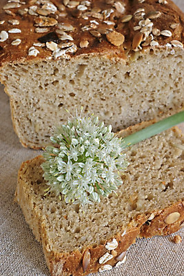 포토 JPG 해외이미지 꽃 음식 빵 조각 농업 자연 양파 요리 씨앗 사람없음 갈색 쿠키 저녁식사 빵집 신선 뜨거움 닫기 맛 굽기 덩어리 점심식사 해외202004 해외포토 식물 산업 컬러 컨셉 채소 모션 디저트 상점 식사 구이 생태계 파일형식 이미지허브