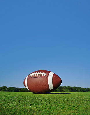 포토 JPG 해외이미지 직업 스포츠 공 풍경 잔디 사람없음 갈색 축구 경쟁 장비 게임 오브젝트 해외202004 해외포토 레이스천 식물 컬러 컨셉 놀이 구기 직물 파일형식 이미지허브