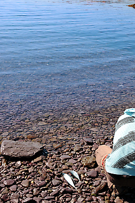 포토 JPG 해외이미지 계절 호수 스포츠 바다 여행 백그라운드 자연 낚시 휴가 휴식 어류 풍경 취미 사람없음 야외 물 여름 파란색 빛 경쟁 조약돌 바위 뜨거움 낚시꾼 암초 아일랜드 고등어 미끼 리빙 대서양 잔물결 해외202004 해외포토 자연요소 유럽 물결 컬러 컨셉 레저 수중동물 돌_바위 생태계 파일형식 이미지허브