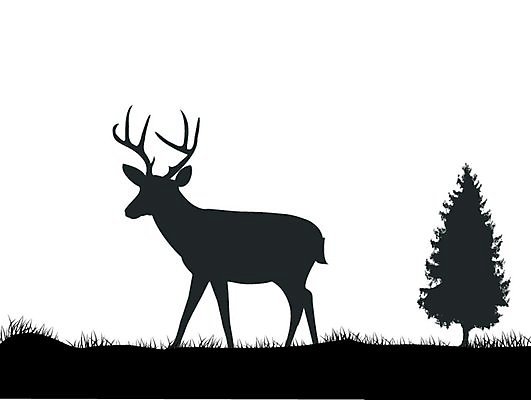 EPS 해외이미지 모양 나무 식물 동물 1 디자인 계절 실루엣 야생동물 줄기 백그라운드 잎 꽃무늬 패턴 일러스트 자연 사슴 뿔 미술 그래픽 장식 여름 검은색 성장 가을 흰색 나뭇가지 화려 그리기 고독 숲 큼 오브젝트 사인 싱글 윤곽 멀리 전나무 고립 엘리먼트 해외202004 해외일러스트 꽃 감정 컬러 컨셉 무늬 포유류 모션 문화예술 촬영기법 크기 생태계 파일형식 벡터 이미지허브