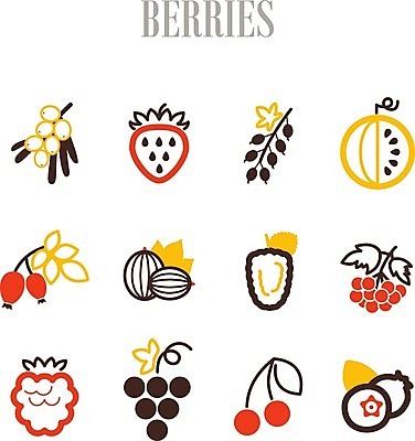 EPS 해외이미지 열매 음식 잎 과일 일러스트 딸기 포도 수박 사람없음 빨간색 검은색 나뭇가지 신선 체리 달콤 다발 블루베리 산딸기 블랙베리 건포도 구스베리 해외202004 해외일러스트 나무 식물 컬러 맛 건과일 파일형식 벡터 이미지허브